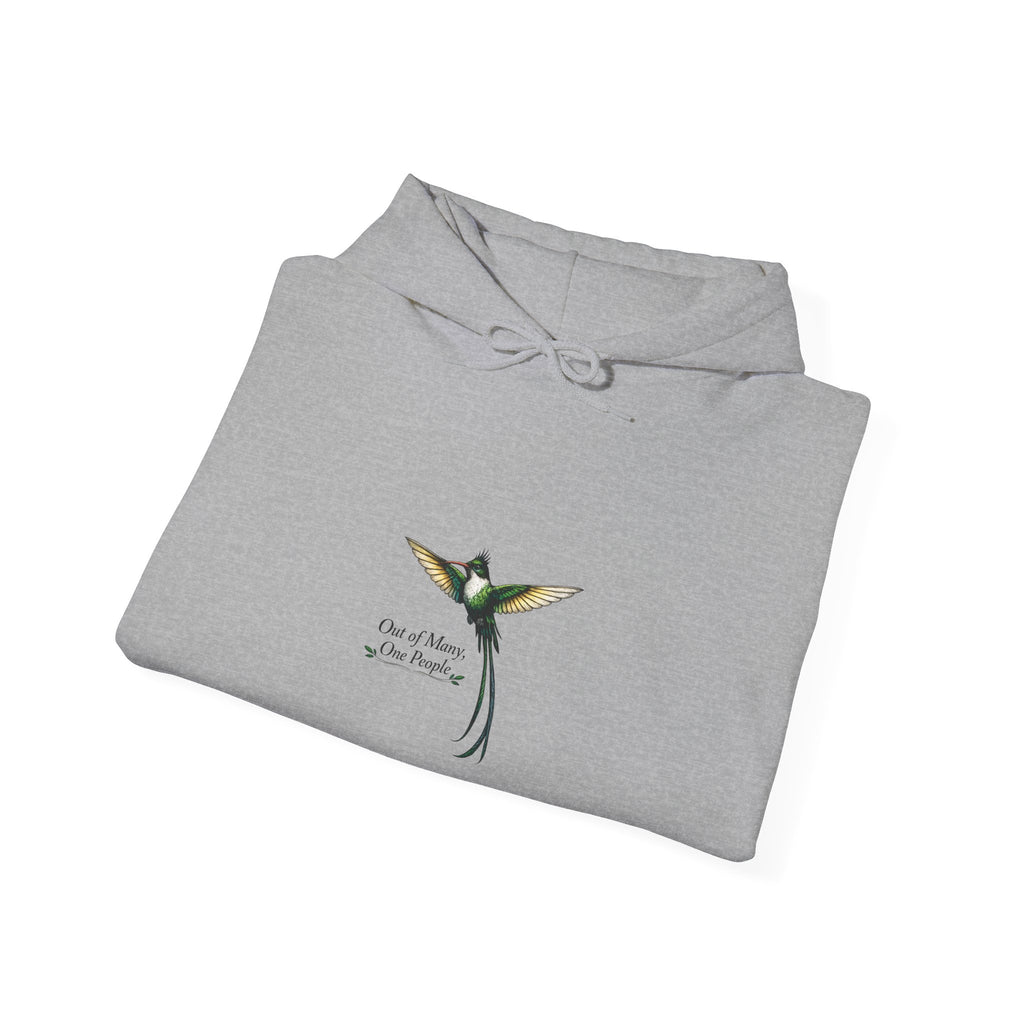 Hummingbird Hoodie — "I Found My Wings" Graphic Pullover"Out Of Many One People"