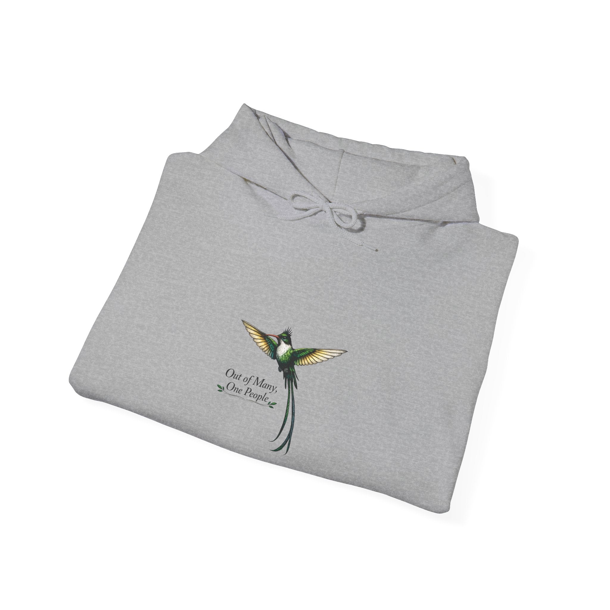 Hummingbird Hoodie — "I Found My Wings" Graphic Pullover"Out Of Many One People"