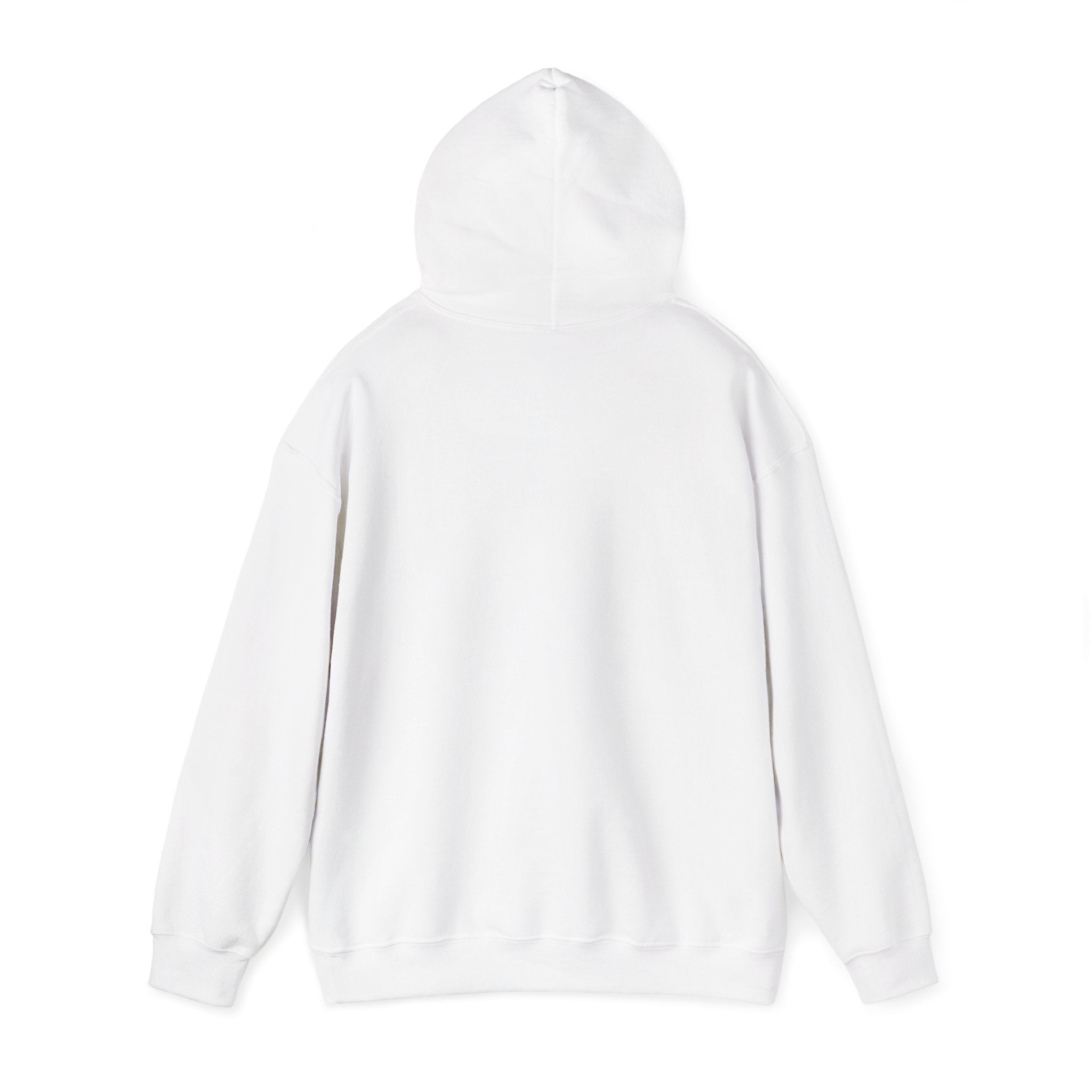 Mexico Flag Hoodie — Distressed Mexican Flag Graphic Pullover