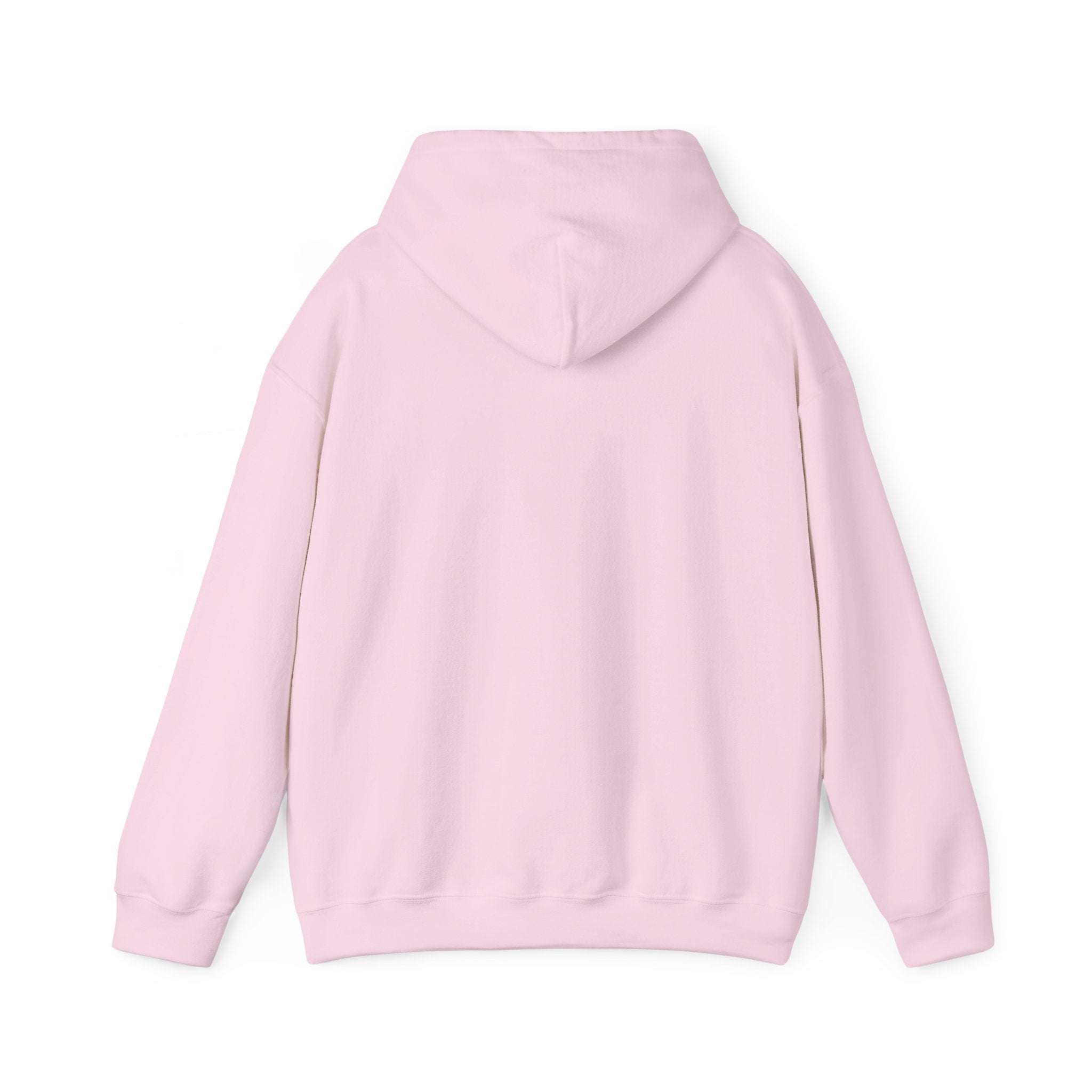 Haiti Flag Hoodie – "L'Union fait la Force" Pullover