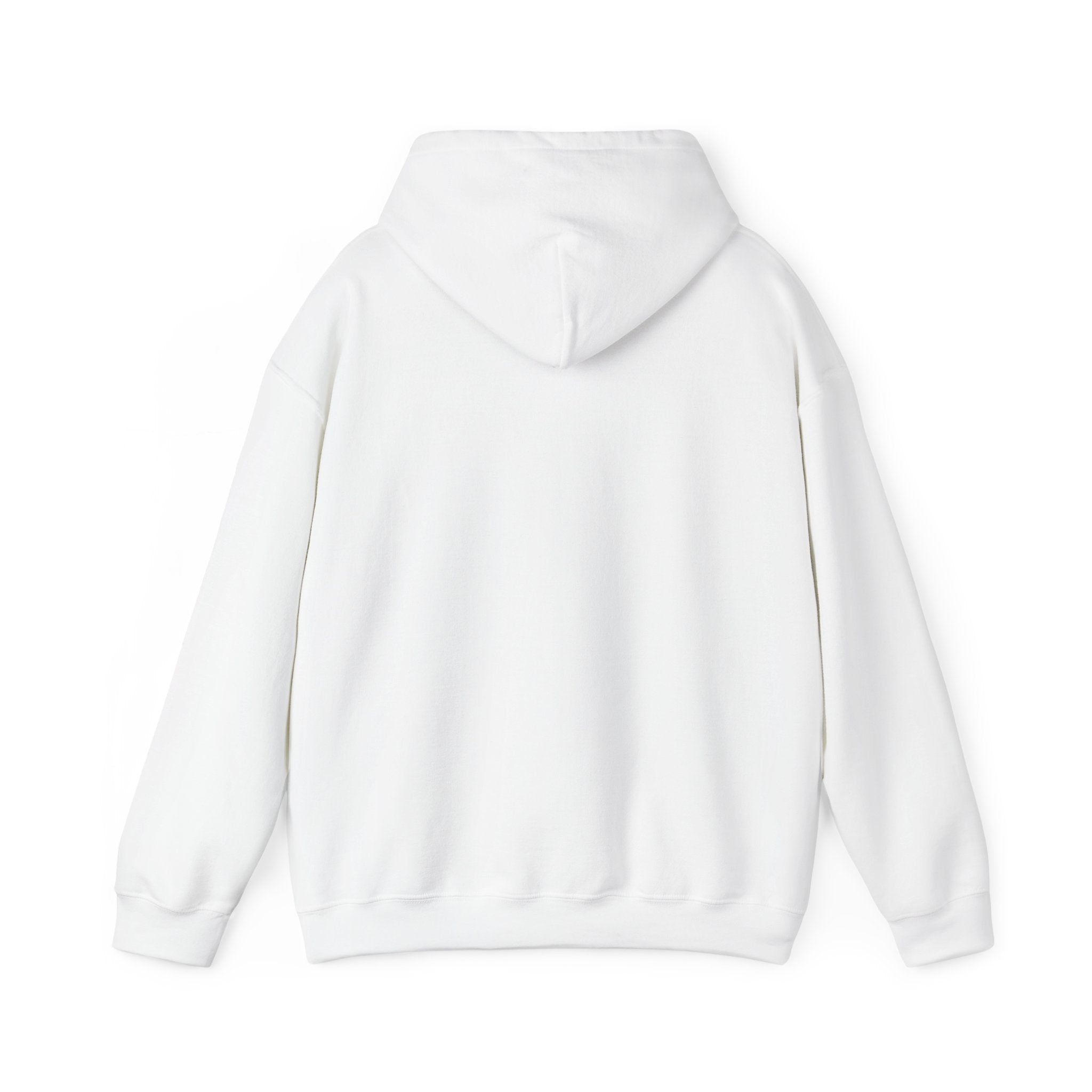 Mexico Flag Hoodie — Distressed Mexican Flag Graphic Pullover