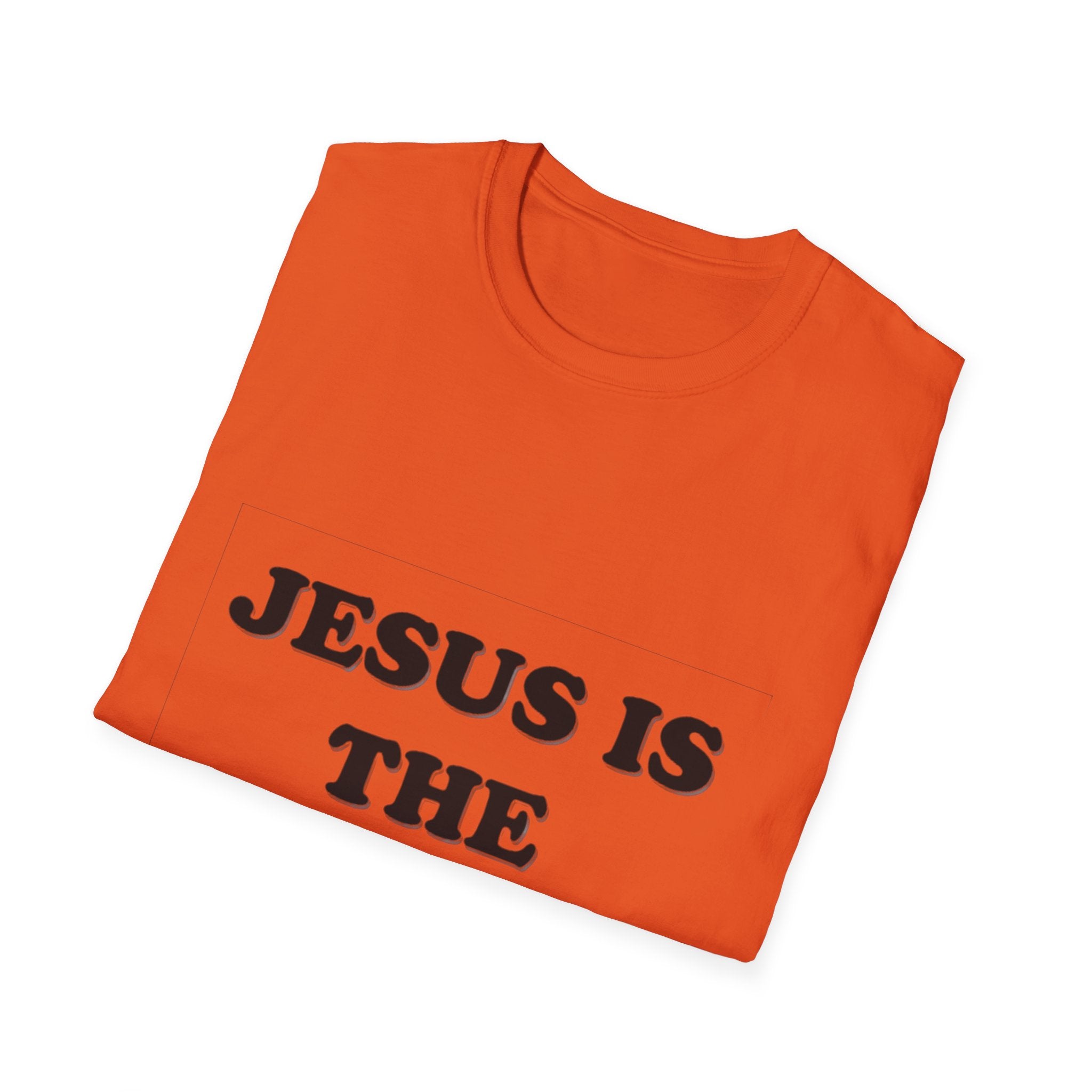 Unisex Softstyle T-Shirt
