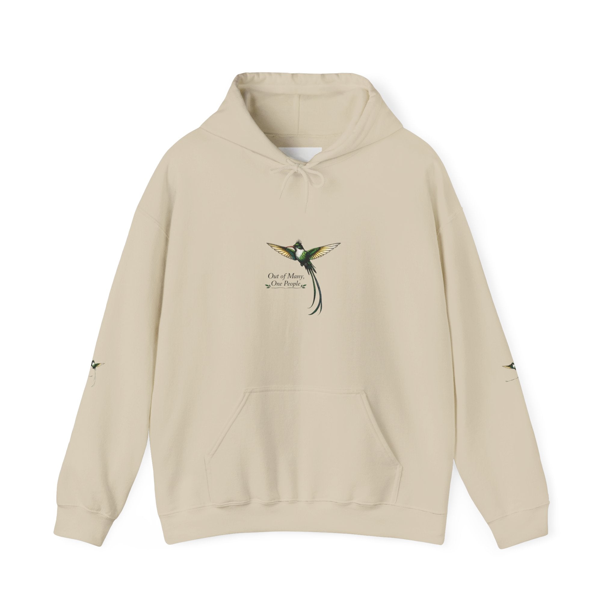 Hummingbird Hoodie — "I Found My Wings" Graphic Pullover"Out Of Many One People"